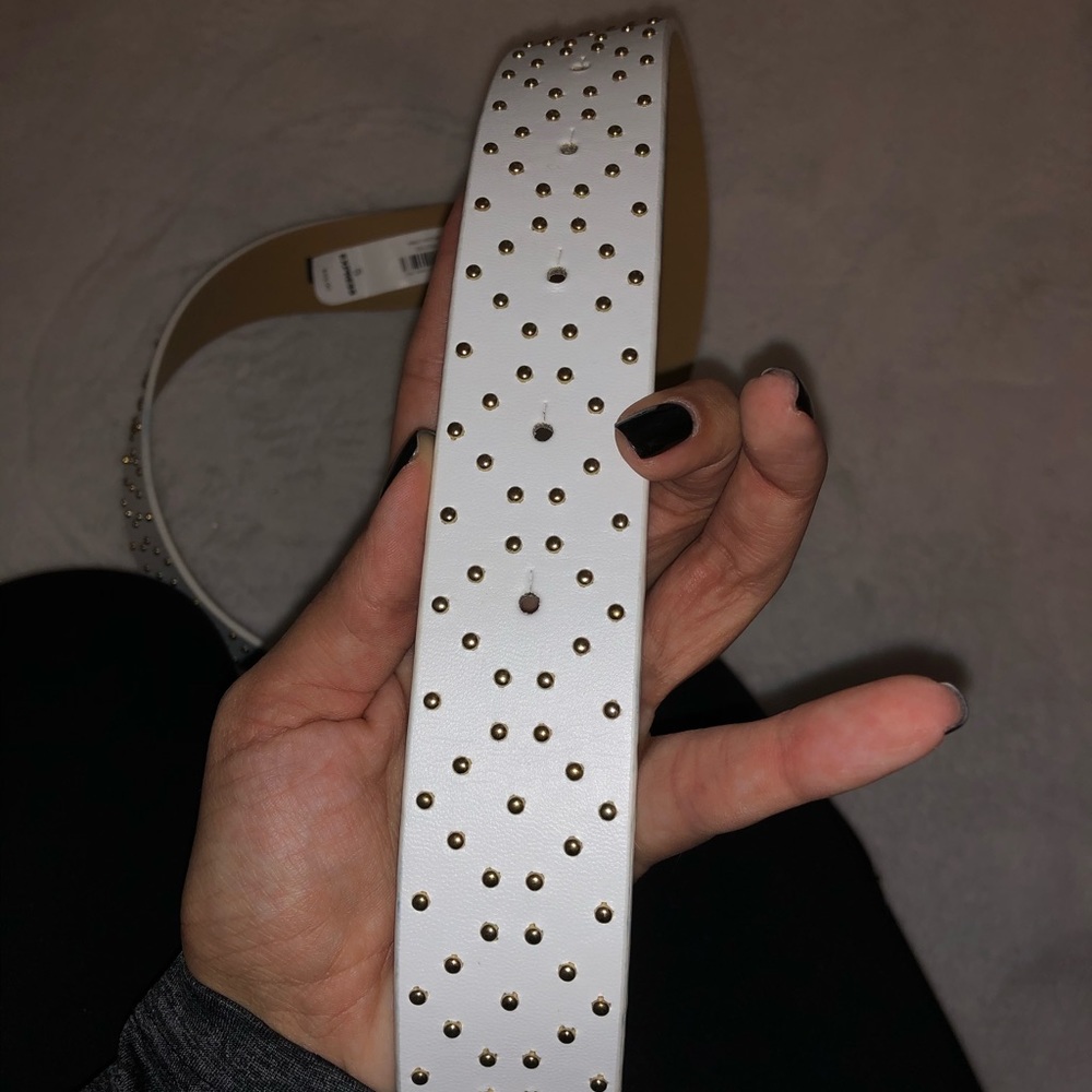 Express belt - Picture 3 of 3